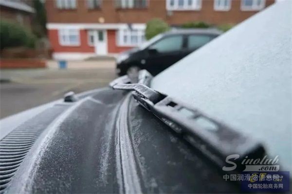 1673053054225613168028[1].jpg