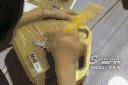 0.gif